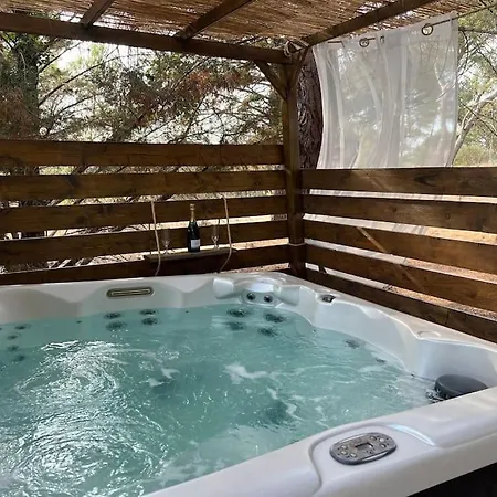 Dôme Géodésique En Bois *
